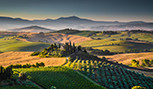 Collines à Val d'Orcia